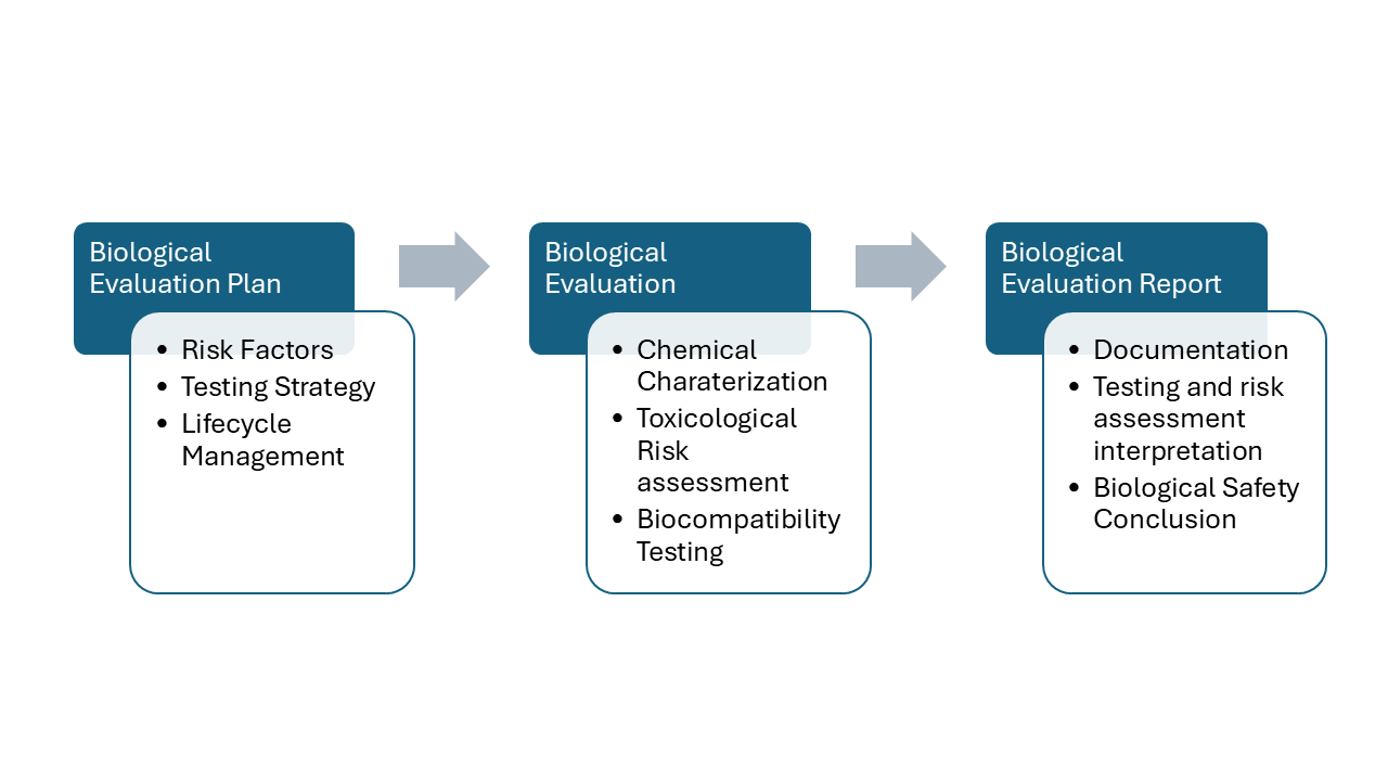 biological evaluation process